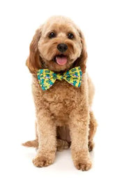 Sk8tor Gator Bow Tie